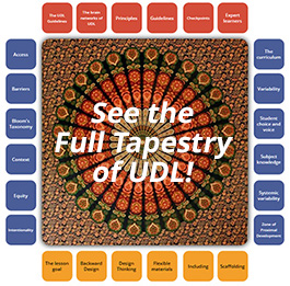See the Full Tapestry of UDL!
