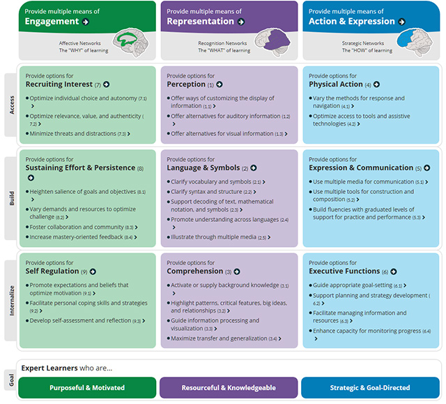 Udl Principles Chart